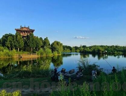 九游app官网入口-解锁全新娱乐方式，九游APP官网入口带你畅游数字世界