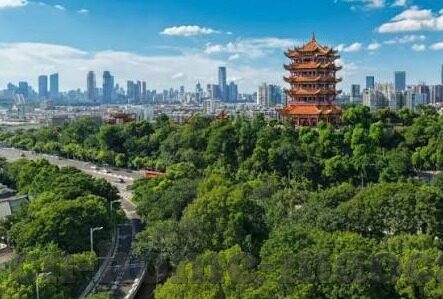 足球比分网app下载-解锁足球观赛新体验，足球比分网APP下载全攻略与深度解析