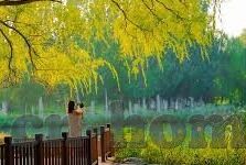 足球英甲比分-英甲赛场风云变幻，足球英甲比分背后的激情与策略